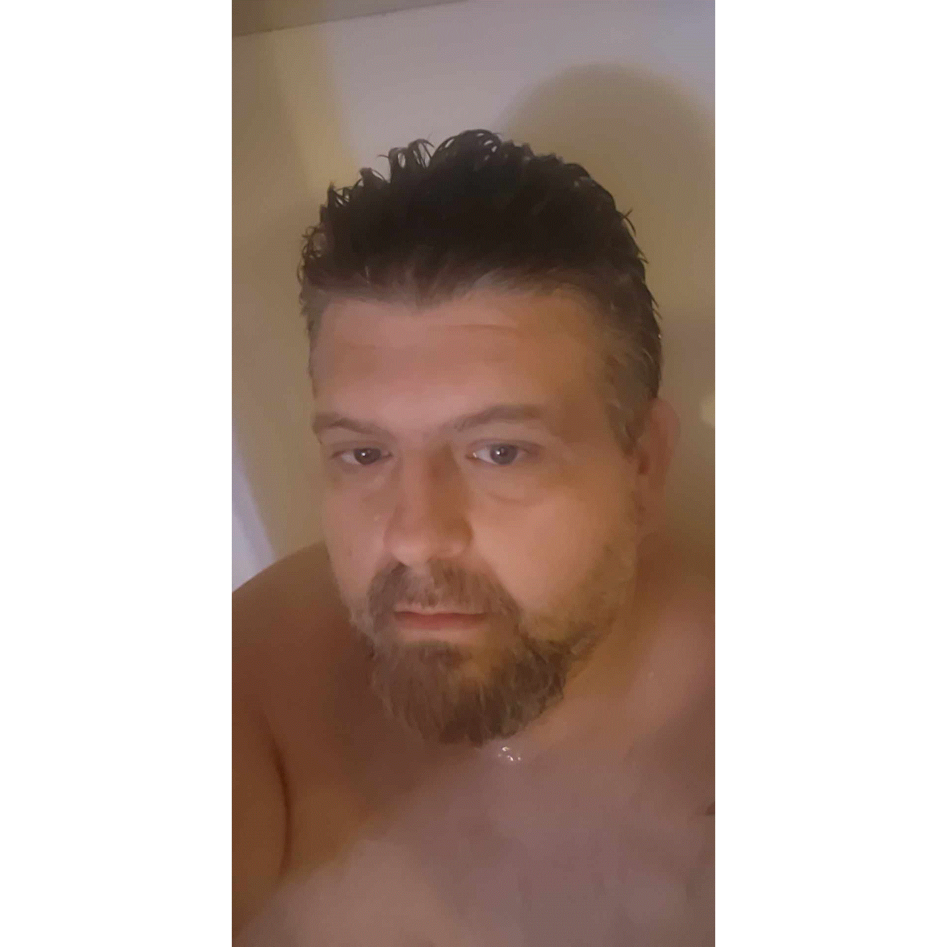 S. PATRICK KNIGHT avatar