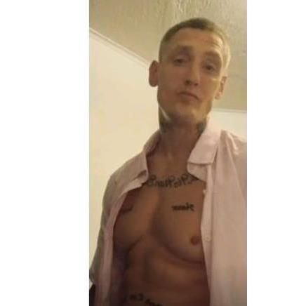 Pussy slayer  avatar