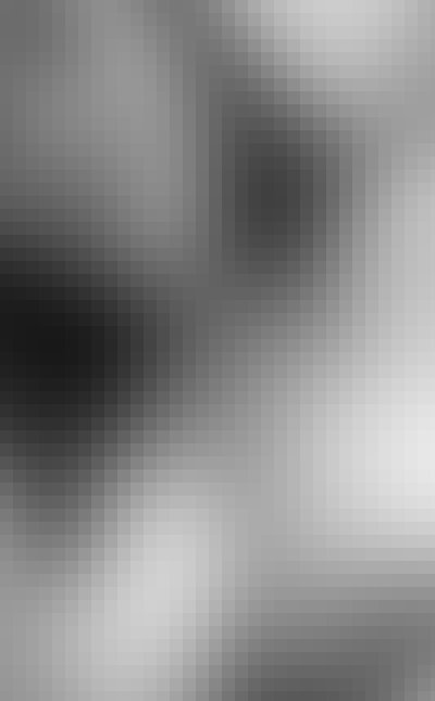 Paloma Cáceres Merino