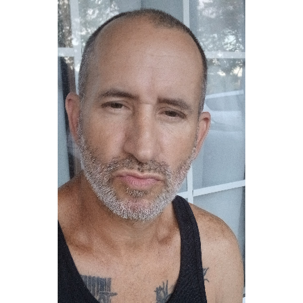 Flip avatar