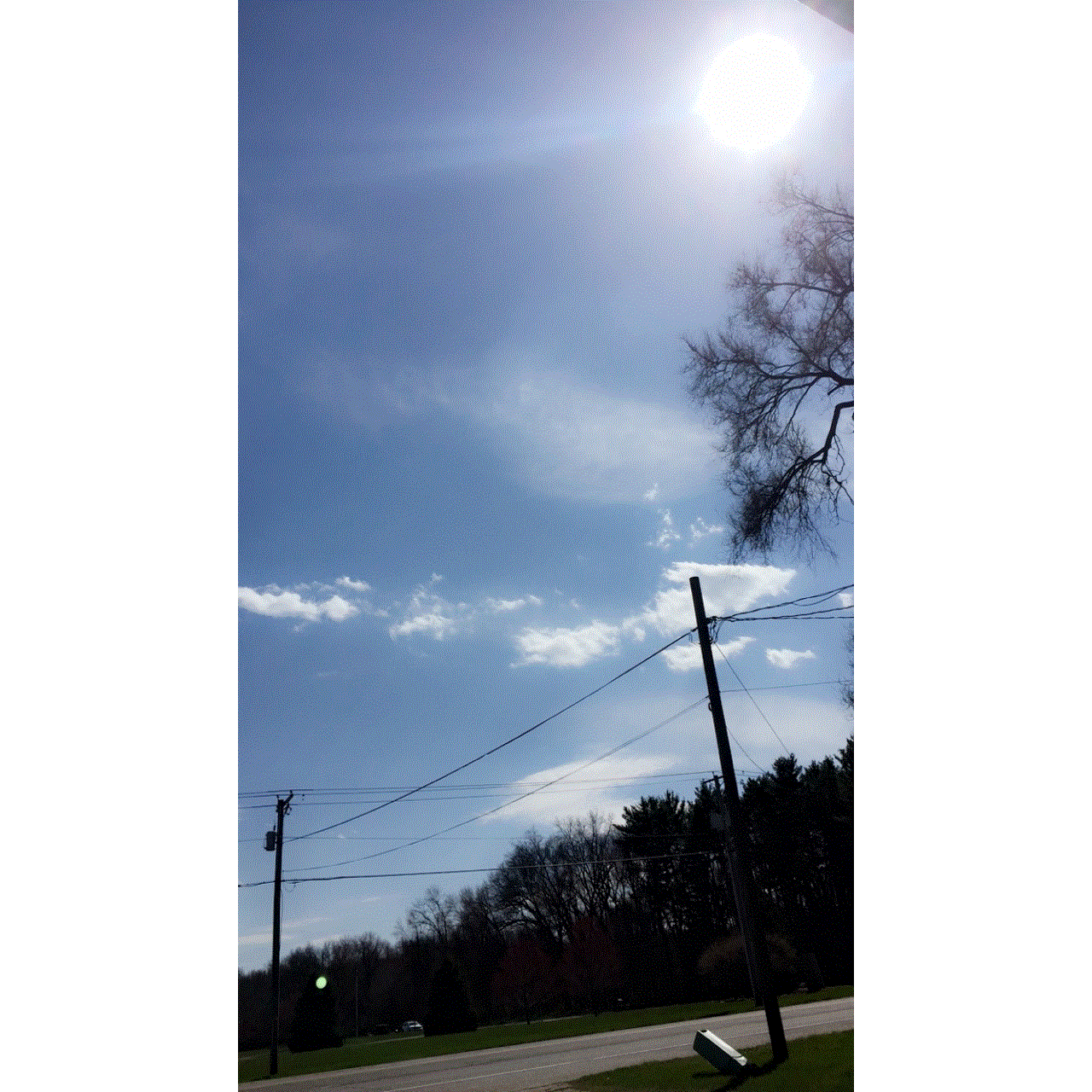 Profile Images image 2