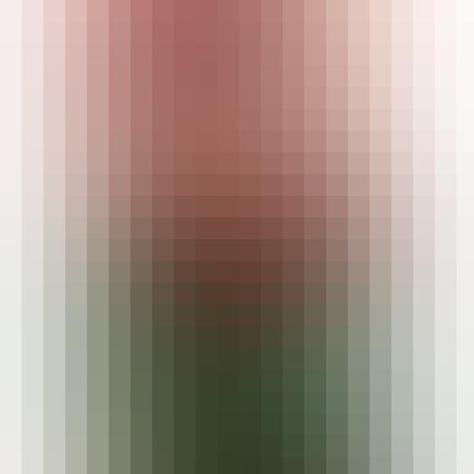 Profile Images image 2