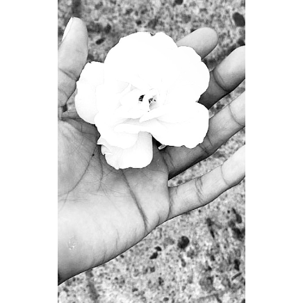 Profile Images image 1