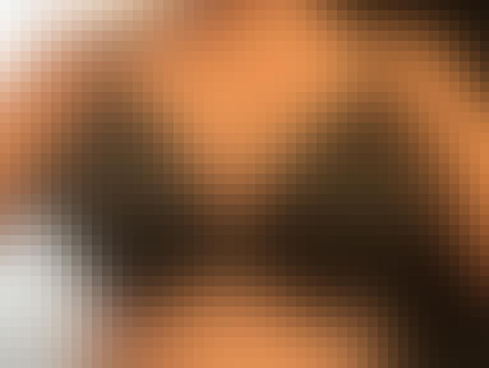 New Gallery2 image 1